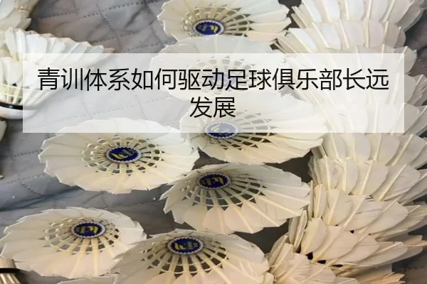 青训体系如何驱动足球俱乐部长远发展